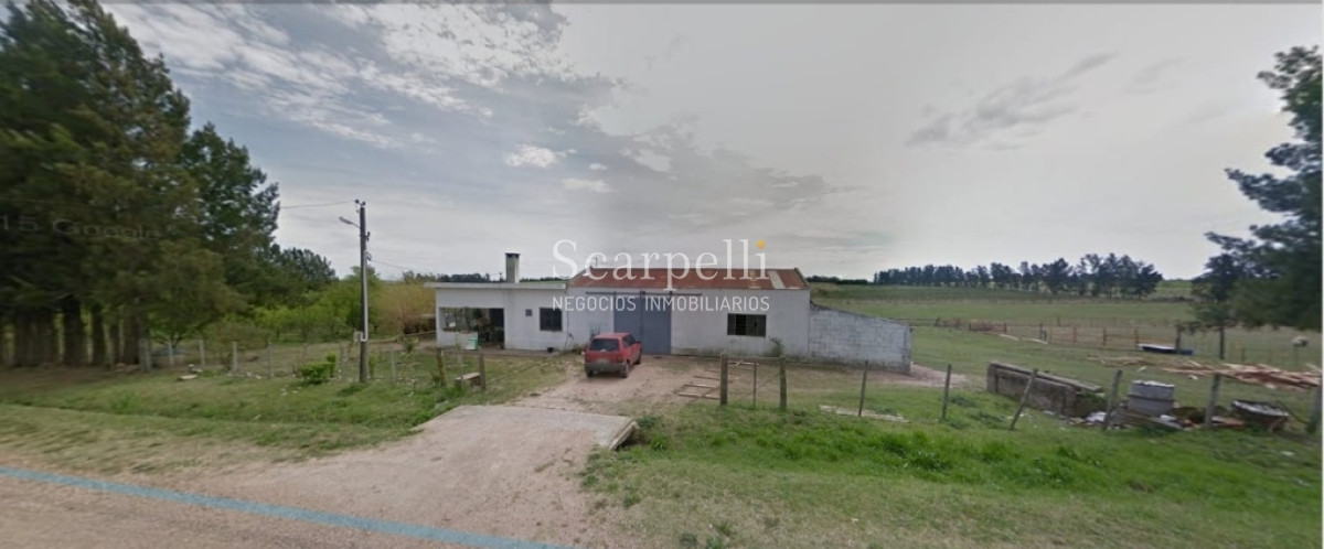 Chacra ID.19343 - Chacra en Suave Ondulación con Casco para Reciclar Los Cerrillos Ruta 36 Rincón del Colorado o Colorado Chico