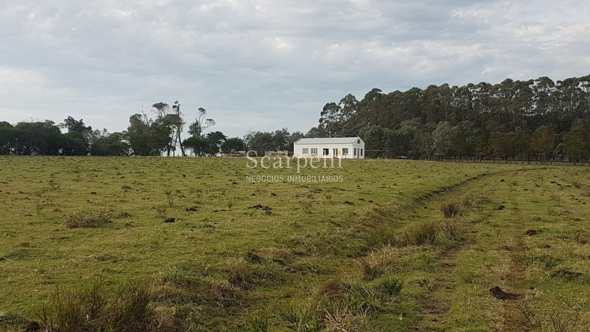 Chacra ID.20748 - Rocha: 25 hás muy cerca de Ruta 10 y Ruta 9 con Casco Sencillo muy bien presentado