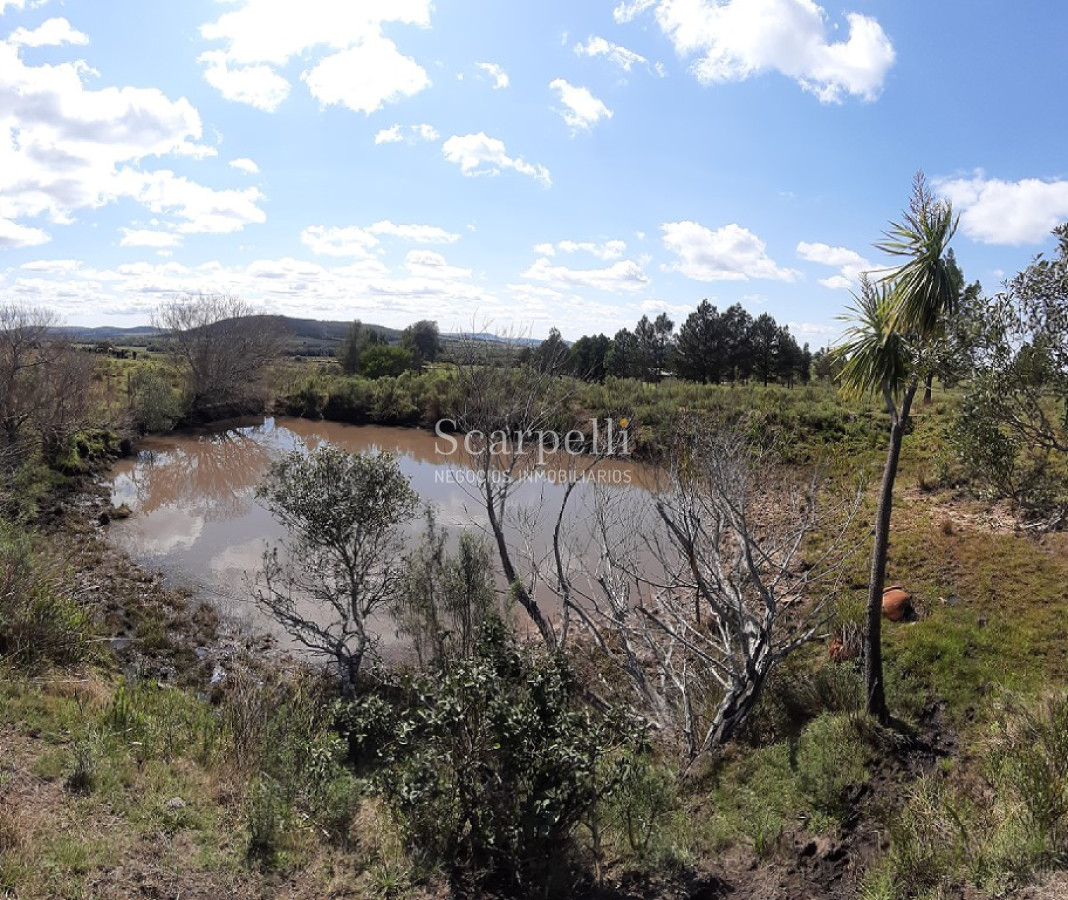 Chacra ID.23580 - Preciosa Chacra en la Sierra a 21 kms. de San Carlos con Casco Nuevo y  Armado para vivir todo el año pronta para ocupar Ya !