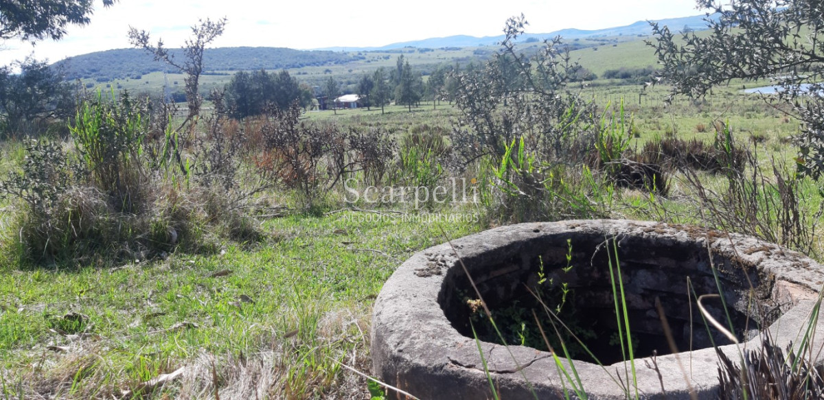 Chacra ID.23580 - Preciosa Chacra en la Sierra a 21 kms. de San Carlos con Casco Nuevo y  Armado para vivir todo el año pronta para ocupar Ya !