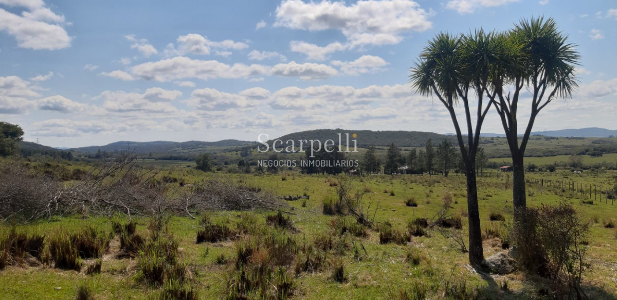 Chacra ID.23580 - Preciosa Chacra en la Sierra a 21 kms. de San Carlos con Casco Nuevo y  Armado para vivir todo el año pronta para ocupar Ya !