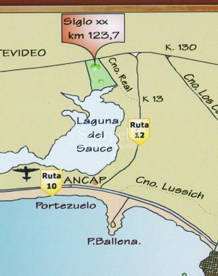 Chacra ID.24660 - Rutas 9 y 12 Chacra Laguna del Sauce Más de 14 hás en entorno inmejorable con Costa a la Laguna del Sauce