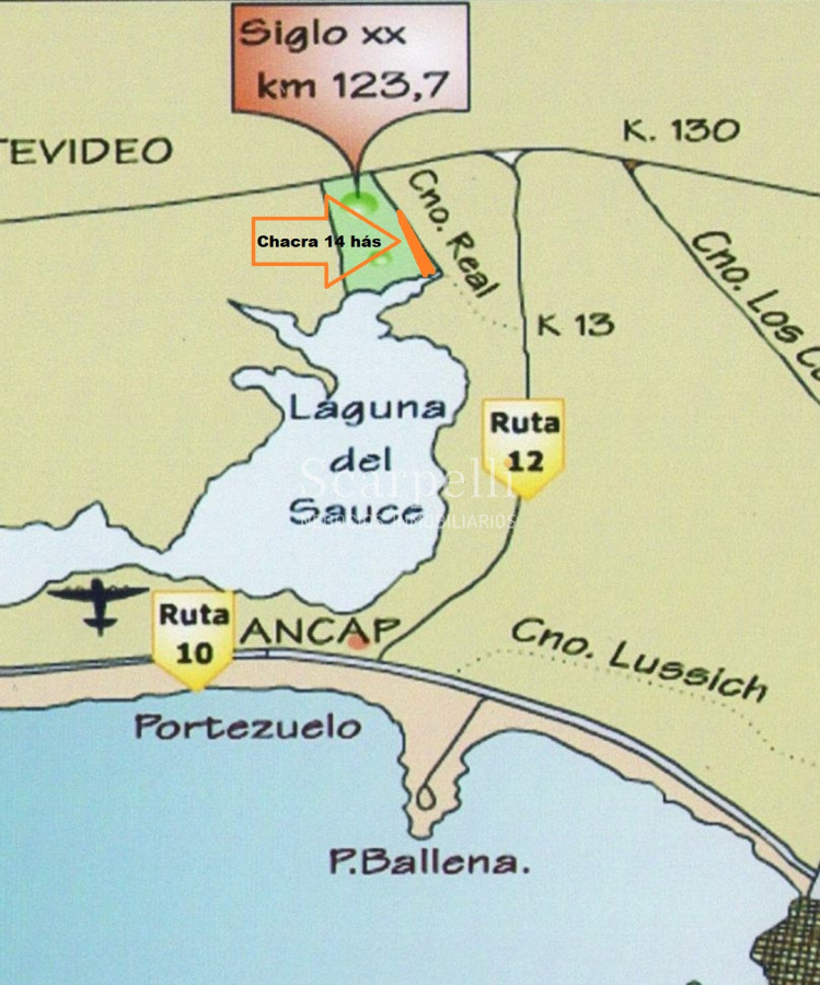 Chacra ID.24660 - Rutas 9 y 12 Chacra Laguna del Sauce Más de 14 hás en entorno inmejorable con Costa a la Laguna del Sauce