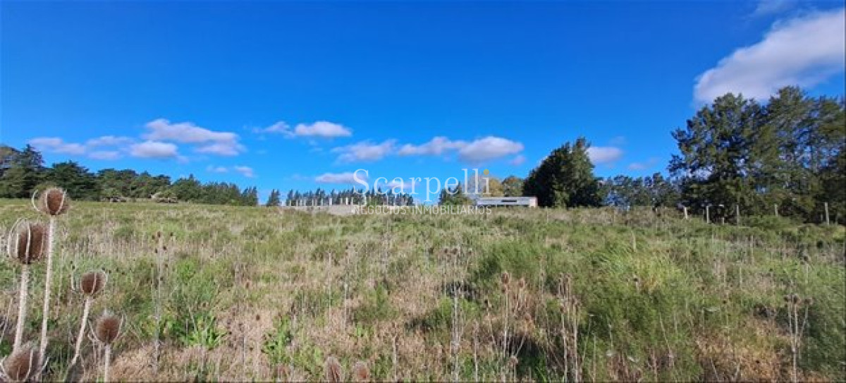 Chacra ID.44 - Venta Chacra Melilla Montevideo 4 Hás Chalet 3 Dormitorios