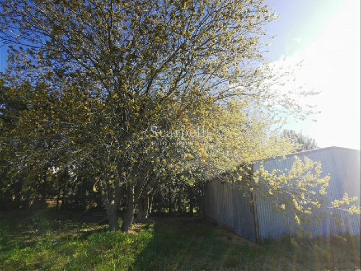 Chacra ID.44 - Venta Chacra Melilla Montevideo 4 Hás Chalet 3 Dormitorios