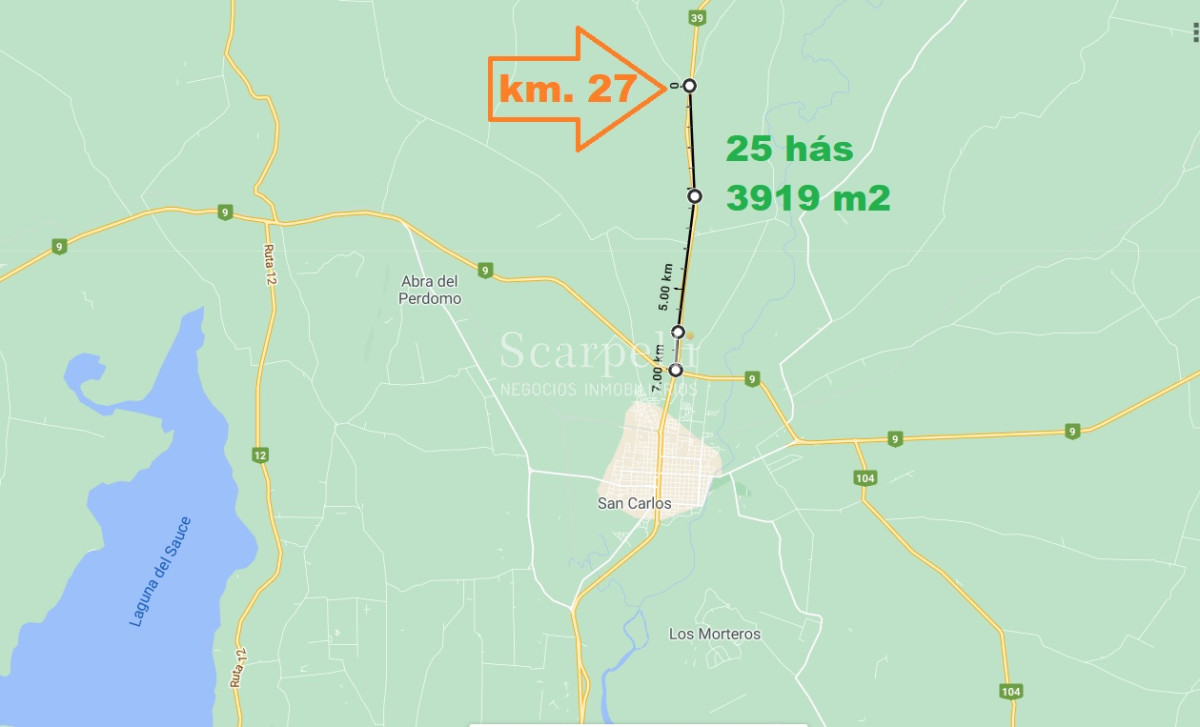 Chacra ID.26106 - 25 hás en Maldonado Ruta 39 Km. 27 a tan solo 10 min. de San Carlos y 7 kms de Ruta 9.-