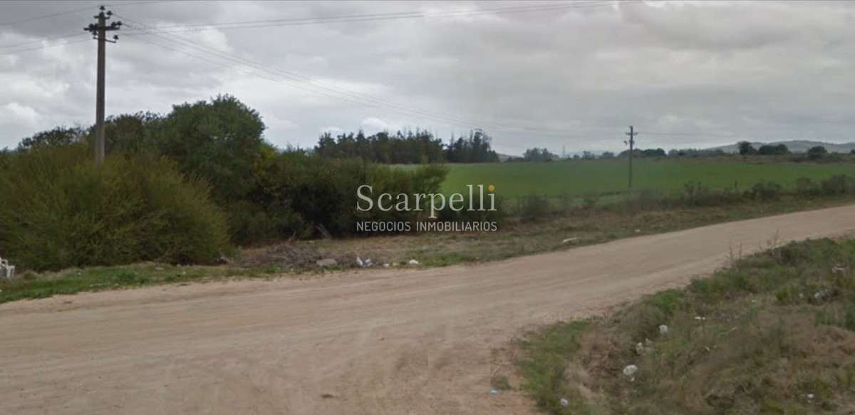 Chacra ID.26106 - 25 hás en Maldonado Ruta 39 Km. 27 a tan solo 10 min. de San Carlos y 7 kms de Ruta 9.-