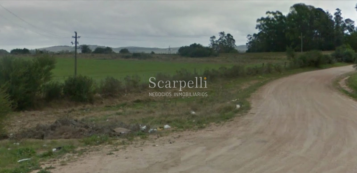 Chacra ID.26106 - 25 hás en Maldonado Ruta 39 Km. 27 a tan solo 10 min. de San Carlos y 7 kms de Ruta 9.-