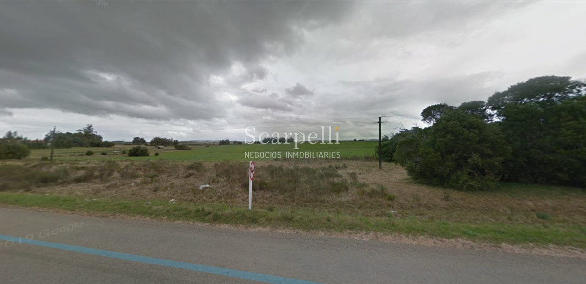 Chacra ID.26106 - 25 hás en Maldonado Ruta 39 Km. 27 a tan solo 10 min. de San Carlos y 7 kms de Ruta 9.-