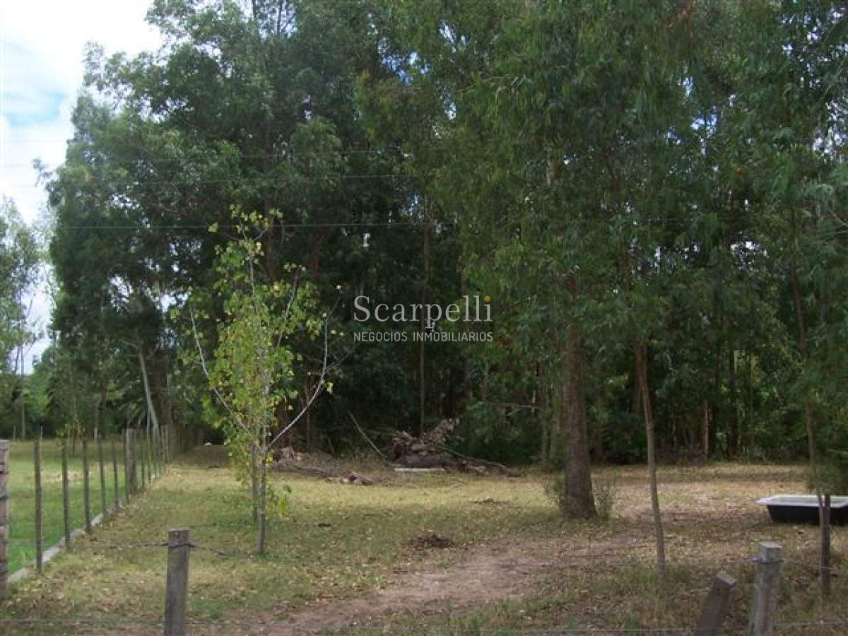 Chacra ID.29521 - Importante Terreno con 110 mts. de Frente a Ruta 8 muy próximo a Ciudad de Pando y Ruta 101.-