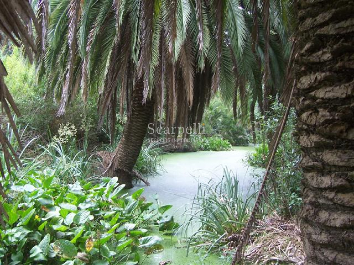 Chacra ID.29521 - Importante Terreno con 110 mts. de Frente a Ruta 8 muy próximo a Ciudad de Pando y Ruta 101.-