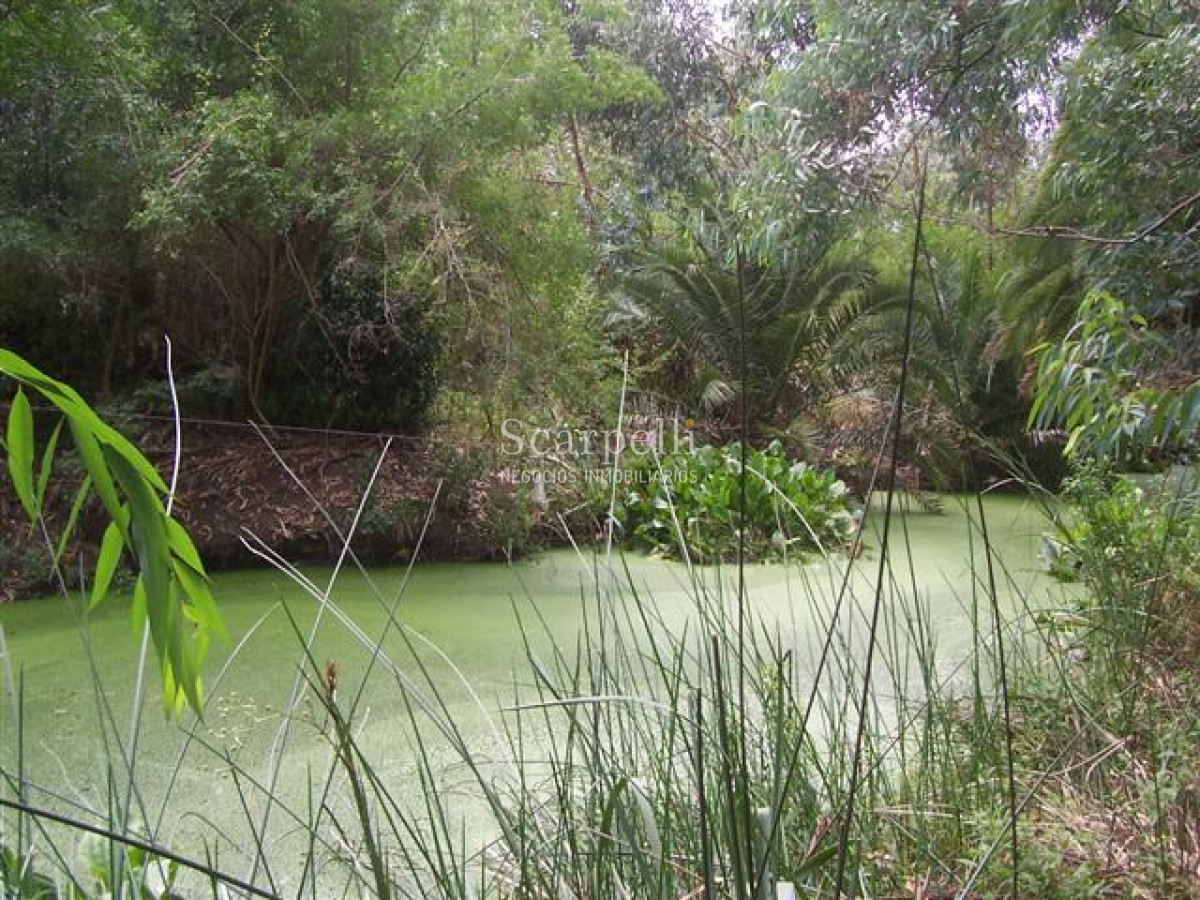 Chacra ID.29521 - Importante Terreno con 110 mts. de Frente a Ruta 8 muy próximo a Ciudad de Pando y Ruta 101.-