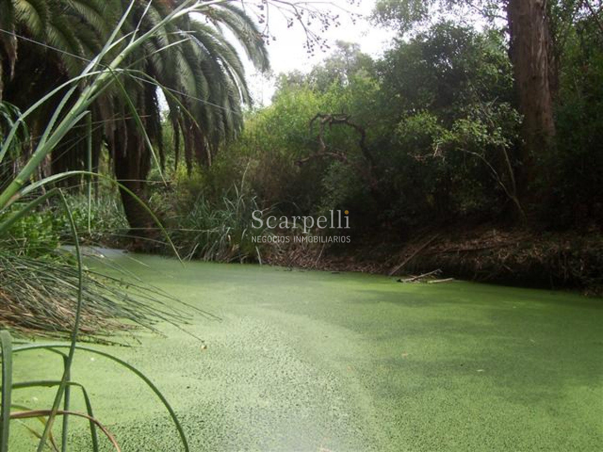 Chacra ID.29521 - Importante Terreno con 110 mts. de Frente a Ruta 8 muy próximo a Ciudad de Pando y Ruta 101.-