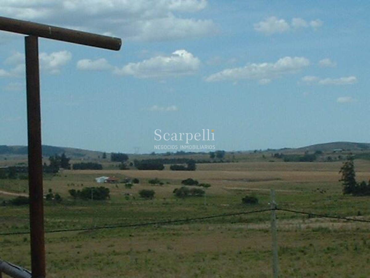 Chacra ID.34310 - VENTA CHACRA MALDONADO RUTA 9 PROXIMO LAGUNA DEL SAUCE Y SAN CARLOS