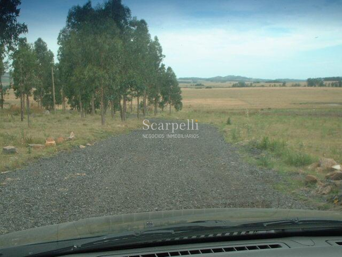 Chacra ID.34310 - VENTA CHACRA MALDONADO RUTA 9 PROXIMO LAGUNA DEL SAUCE Y SAN CARLOS