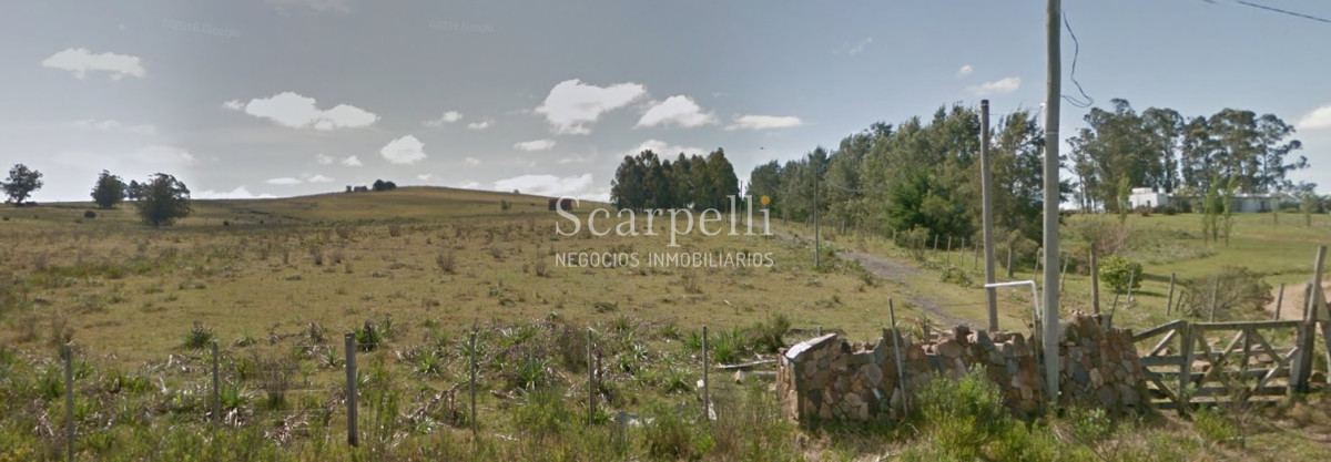 Chacra ID.34310 - VENTA CHACRA MALDONADO RUTA 9 PROXIMO LAGUNA DEL SAUCE Y SAN CARLOS