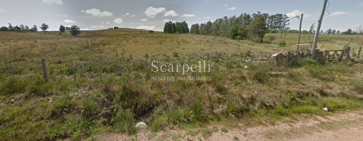 Chacra ID.34310 - VENTA CHACRA MALDONADO RUTA 9 PROXIMO LAGUNA DEL SAUCE Y SAN CARLOS