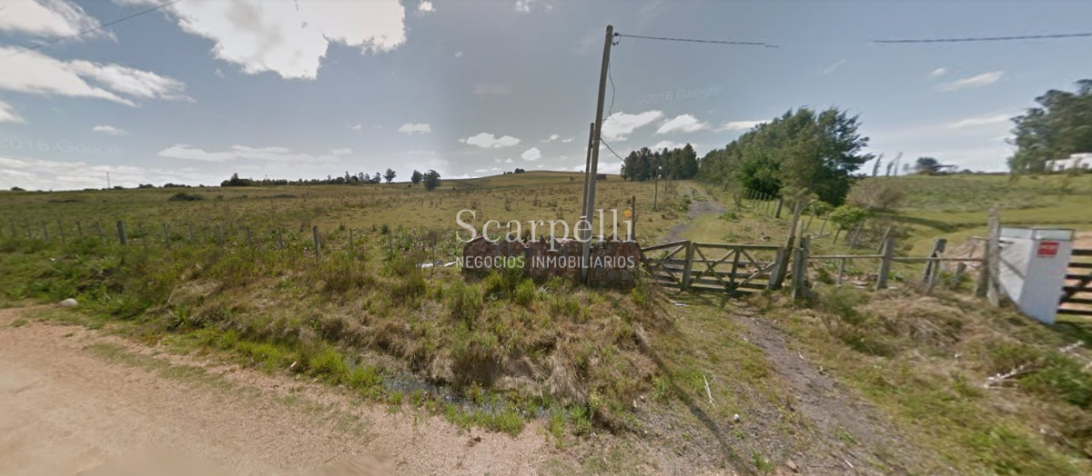 Chacra ID.34310 - VENTA CHACRA MALDONADO RUTA 9 PROXIMO LAGUNA DEL SAUCE Y SAN CARLOS