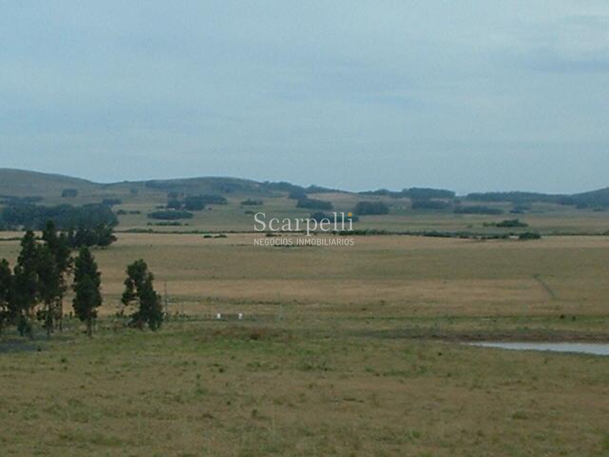 Chacra ID.34310 - VENTA CHACRA MALDONADO RUTA 9 PROXIMO LAGUNA DEL SAUCE Y SAN CARLOS