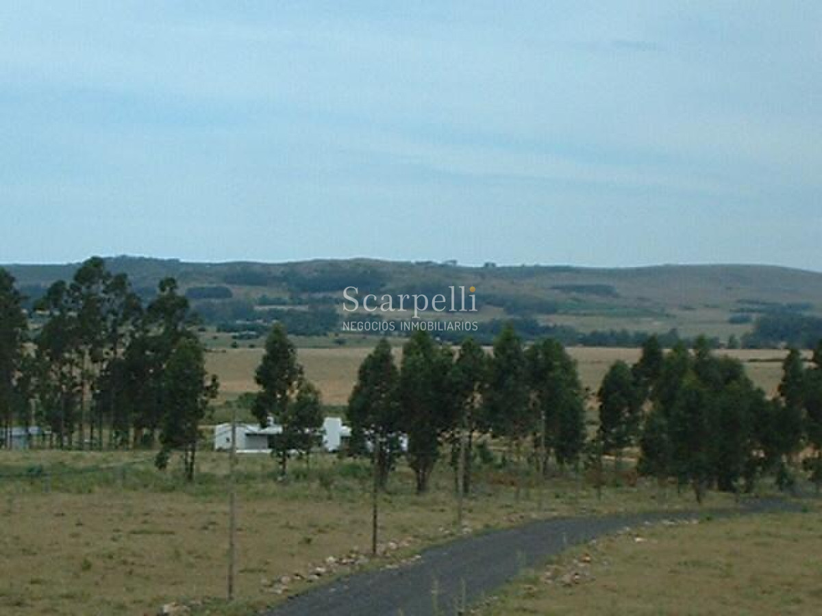 Chacra ID.34310 - VENTA CHACRA MALDONADO RUTA 9 PROXIMO LAGUNA DEL SAUCE Y SAN CARLOS