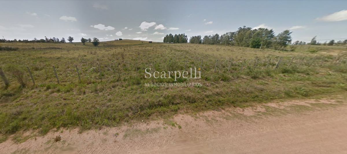 Chacra ID.34310 - VENTA CHACRA MALDONADO RUTA 9 PROXIMO LAGUNA DEL SAUCE Y SAN CARLOS