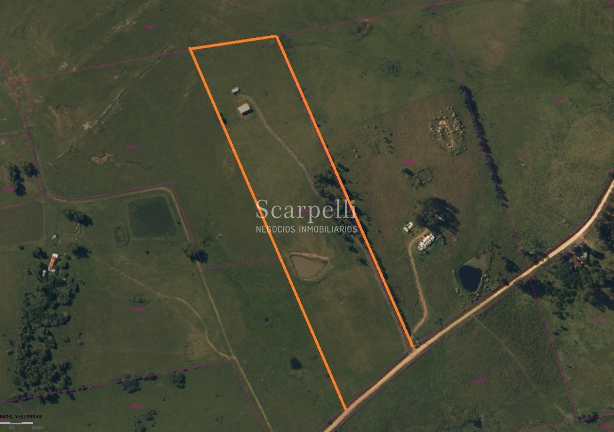 Chacra ID.34310 - VENTA CHACRA MALDONADO RUTA 9 PROXIMO LAGUNA DEL SAUCE Y SAN CARLOS
