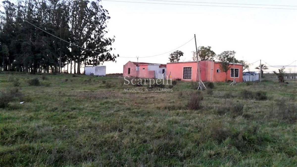 Chacra ID.34366 - VENTA CHACRA MALDONADO  RUTA 12 LAGUNA DEL SAUCE