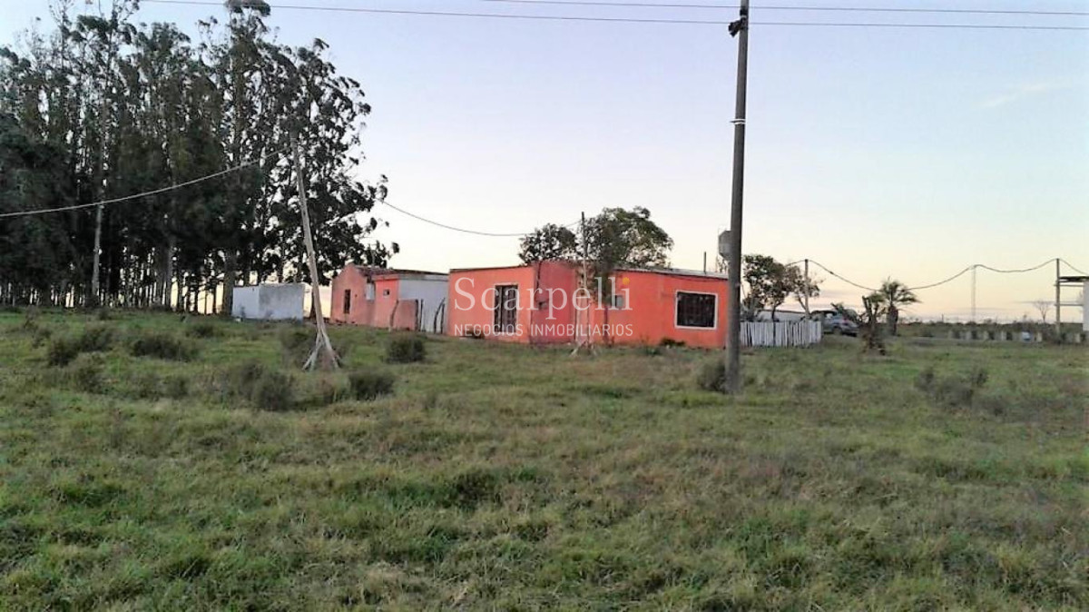Chacra ID.34366 - VENTA CHACRA MALDONADO  RUTA 12 LAGUNA DEL SAUCE