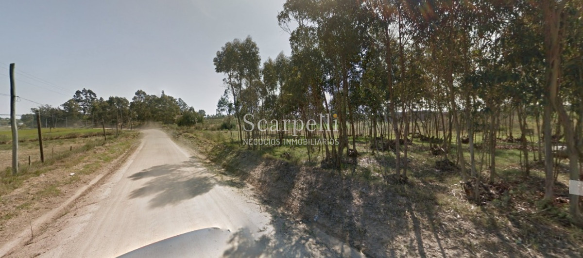 Chacra ID.34673 - VENTA CHACRA RUTA 34 Y RUTA 8 PRÓXIMO EMPALME OLMOS CON INTERESANTES MEJORAS