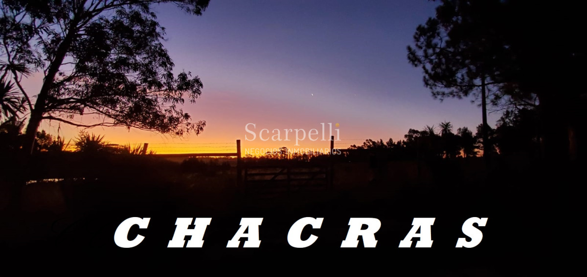 Chacra ID.34673 - VENTA CHACRA RUTA 34 Y RUTA 8 PRÓXIMO EMPALME OLMOS CON INTERESANTES MEJORAS