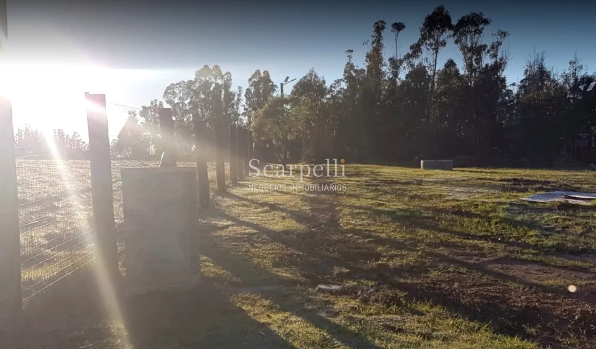 Chacra ID.34673 - VENTA CHACRA RUTA 34 Y RUTA 8 PRÓXIMO EMPALME OLMOS CON INTERESANTES MEJORAS