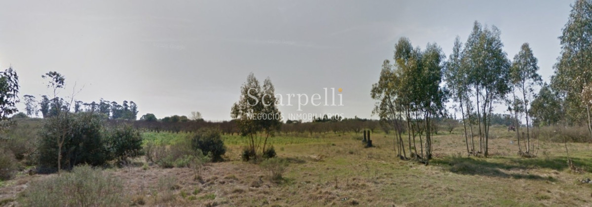 Chacra ID.34673 - VENTA CHACRA RUTA 34 Y RUTA 8 PRÓXIMO EMPALME OLMOS CON INTERESANTES MEJORAS
