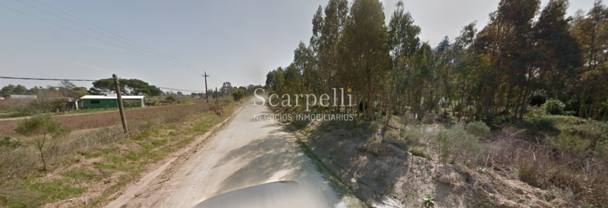 Chacra ID.34673 - VENTA CHACRA RUTA 34 Y RUTA 8 PRÓXIMO EMPALME OLMOS CON INTERESANTES MEJORAS