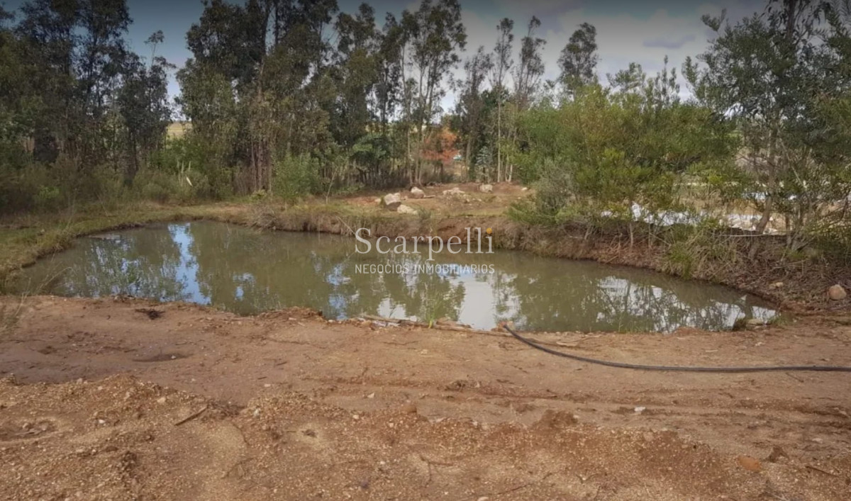 Chacra ID.34673 - VENTA CHACRA RUTA 34 Y RUTA 8 PRÓXIMO EMPALME OLMOS CON INTERESANTES MEJORAS