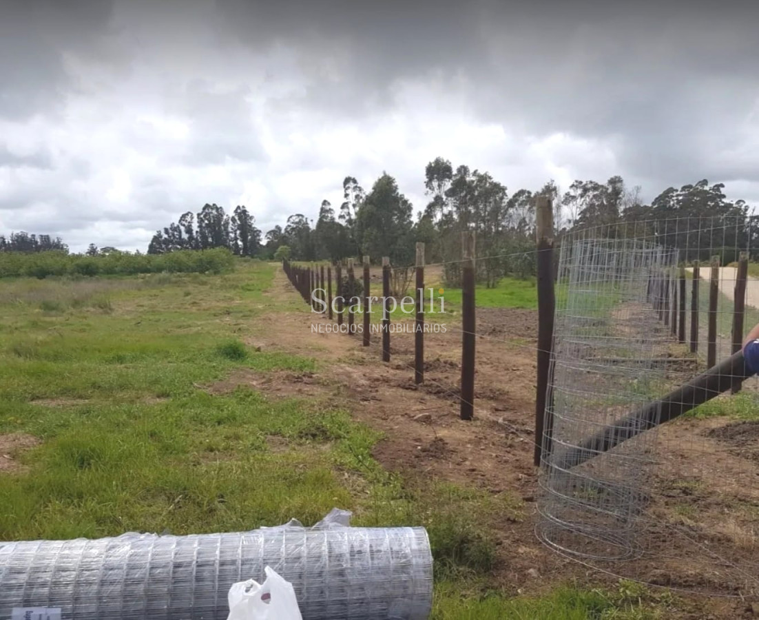 Chacra ID.34673 - VENTA CHACRA RUTA 34 Y RUTA 8 PRÓXIMO EMPALME OLMOS CON INTERESANTES MEJORAS