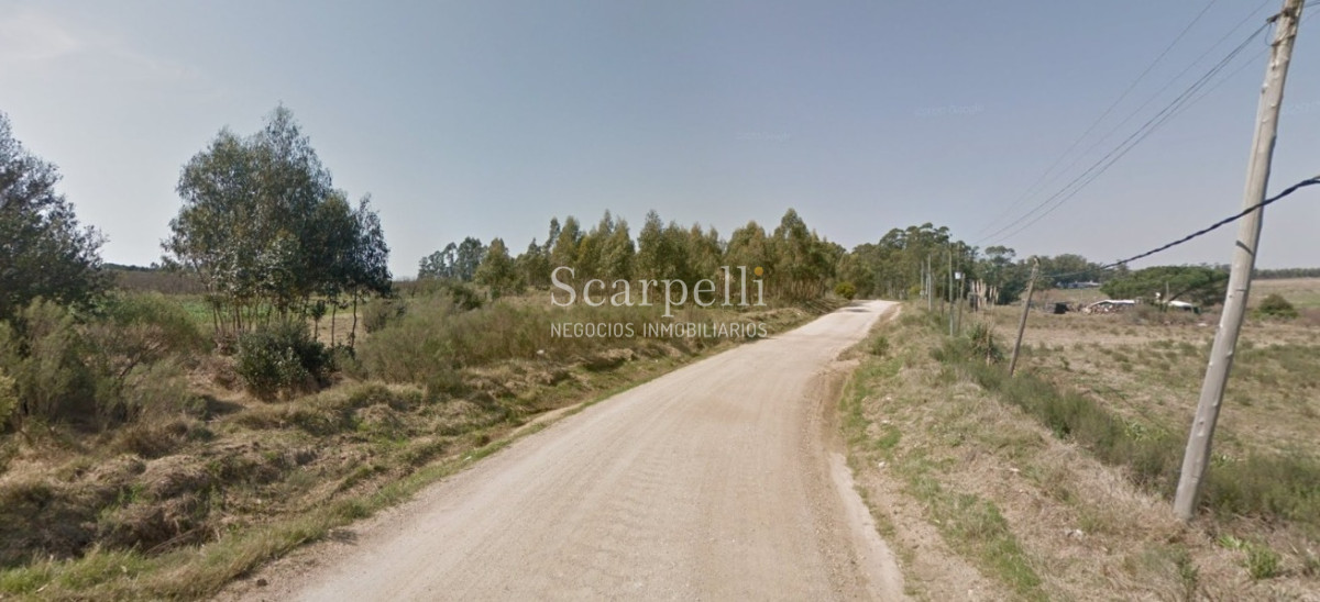 Chacra ID.34673 - VENTA CHACRA RUTA 34 Y RUTA 8 PRÓXIMO EMPALME OLMOS CON INTERESANTES MEJORAS