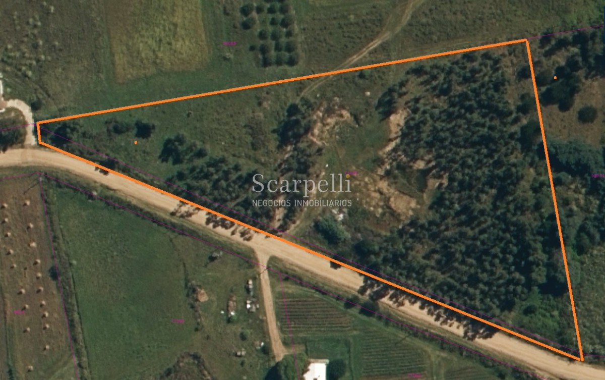 Chacra ID.34673 - VENTA CHACRA RUTA 34 Y RUTA 8 PRÓXIMO EMPALME OLMOS CON INTERESANTES MEJORAS
