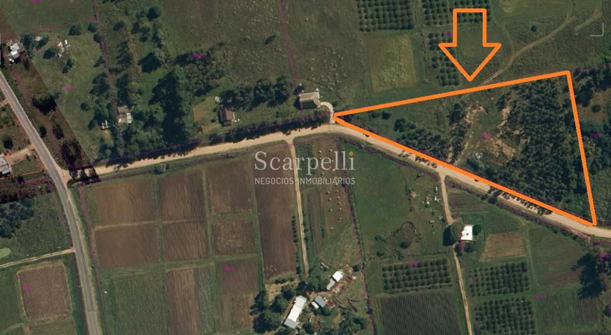 Chacra ID.34673 - VENTA CHACRA RUTA 34 Y RUTA 8 PRÓXIMO EMPALME OLMOS CON INTERESANTES MEJORAS