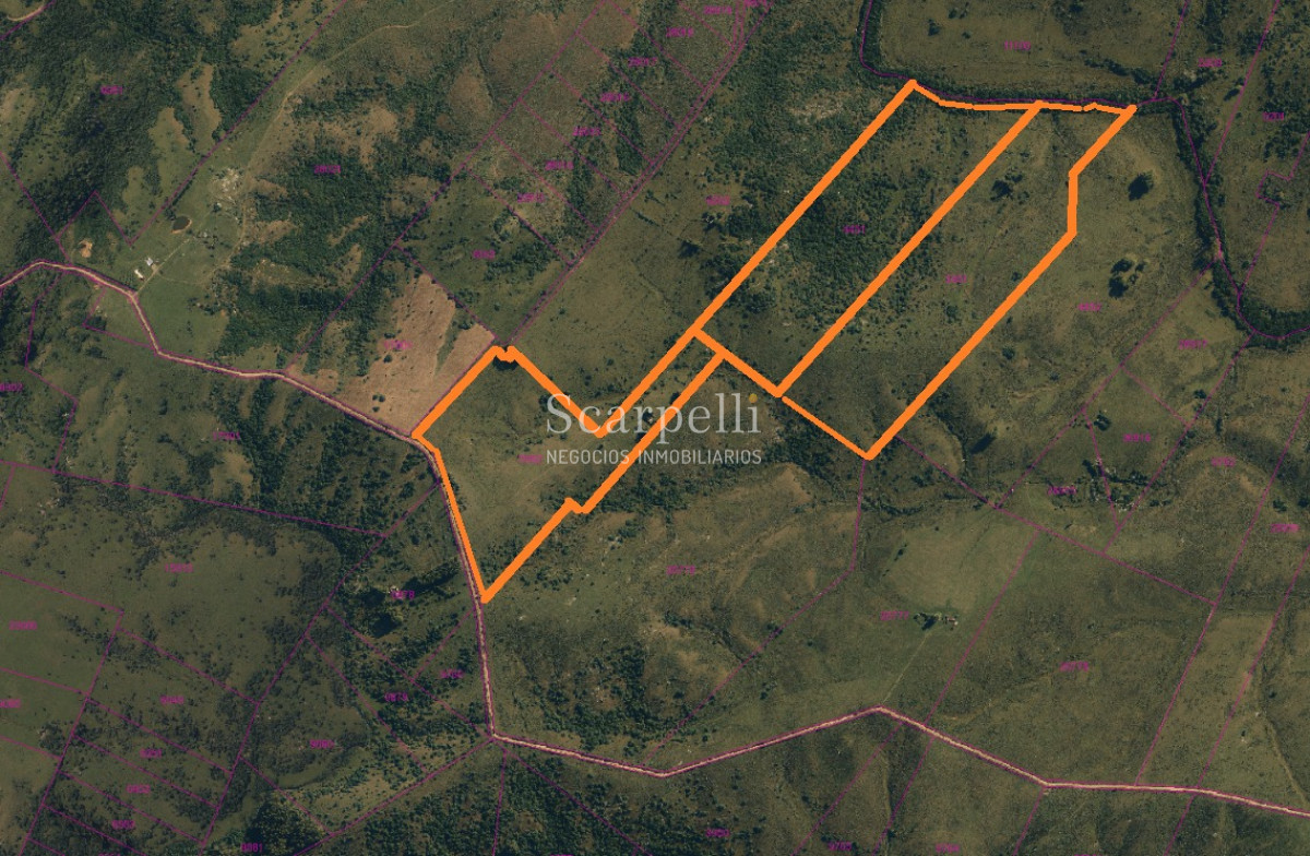 Chacra ID.37593 - Venta Chacra Maldonado proximo Límite con Lavalleja : Sierras de Carape con costa al arroyo Carapé.-