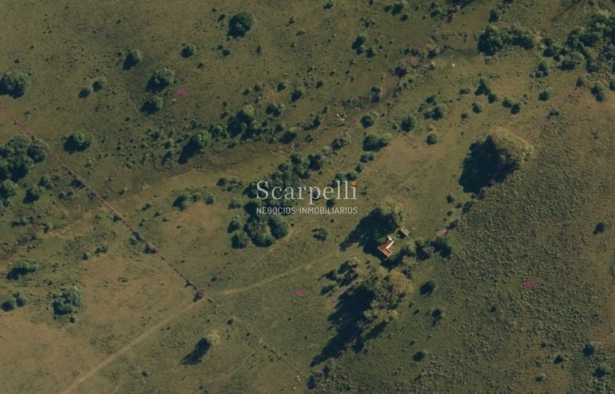 Chacra ID.37593 - Venta Chacra Maldonado proximo Límite con Lavalleja : Sierras de Carape con costa al arroyo Carapé.-