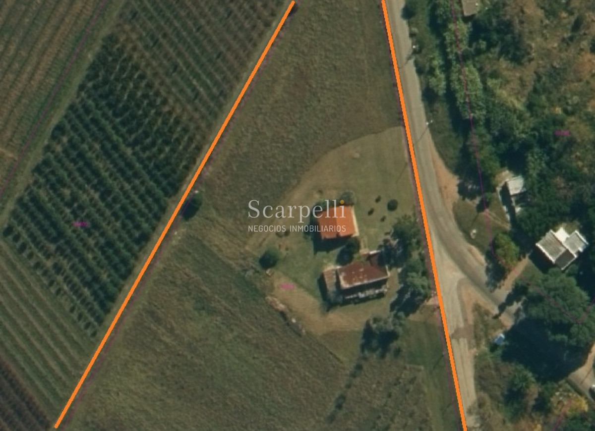 Chacra ID.37768 - VENTA CHACRA MELILLA PRÓXIMO RUTA 5 INSERTA EN PLENO CIRCUITO DE BODEGAS Y CHACRAS TRADICIONALES  EN LA ZONA