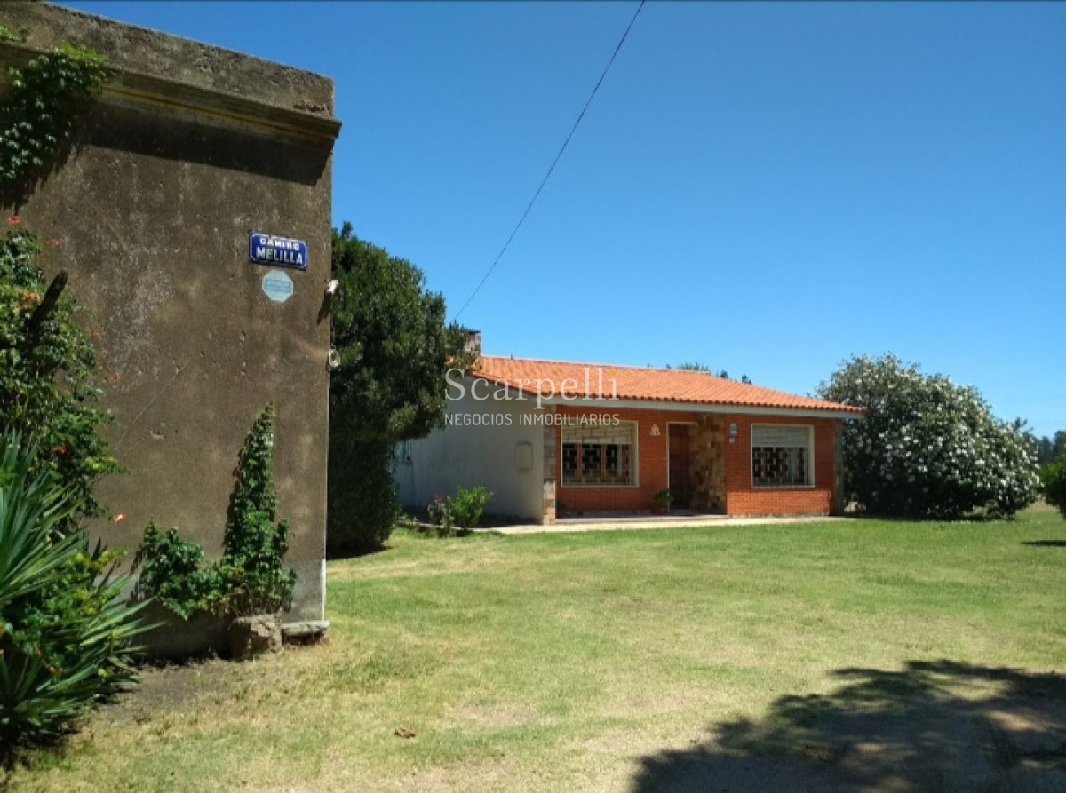 Chacra ID.37768 - VENTA CHACRA MELILLA PRÓXIMO RUTA 5 INSERTA EN PLENO CIRCUITO DE BODEGAS Y CHACRAS TRADICIONALES  EN LA ZONA