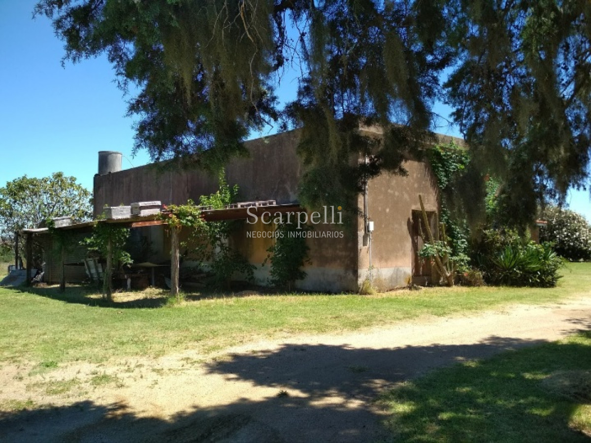 Chacra ID.37768 - VENTA CHACRA MELILLA PRÓXIMO RUTA 5 INSERTA EN PLENO CIRCUITO DE BODEGAS Y CHACRAS TRADICIONALES  EN LA ZONA