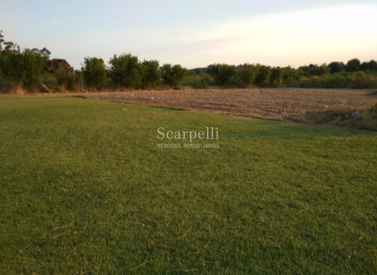 Chacra ID.37768 - VENTA CHACRA MELILLA PRÓXIMO RUTA 5 INSERTA EN PLENO CIRCUITO DE BODEGAS Y CHACRAS TRADICIONALES  EN LA ZONA