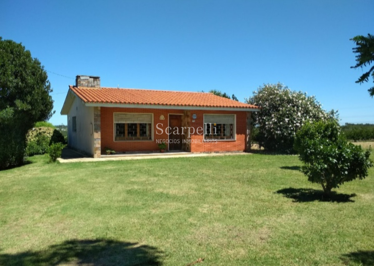 Chacra ID.37768 - VENTA CHACRA MELILLA PRÓXIMO RUTA 5 INSERTA EN PLENO CIRCUITO DE BODEGAS Y CHACRAS TRADICIONALES  EN LA ZONA