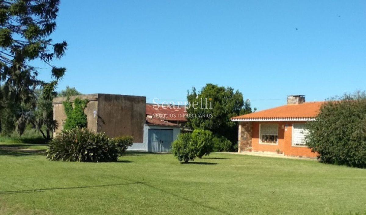 Chacra ID.37768 - VENTA CHACRA MELILLA PRÓXIMO RUTA 5 INSERTA EN PLENO CIRCUITO DE BODEGAS Y CHACRAS TRADICIONALES  EN LA ZONA