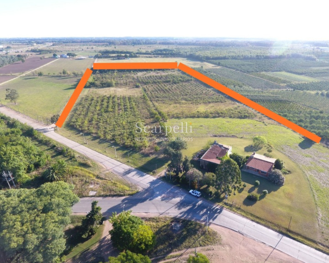 Chacra ID.37768 - VENTA CHACRA MELILLA PRÓXIMO RUTA 5 INSERTA EN PLENO CIRCUITO DE BODEGAS Y CHACRAS TRADICIONALES  EN LA ZONA
