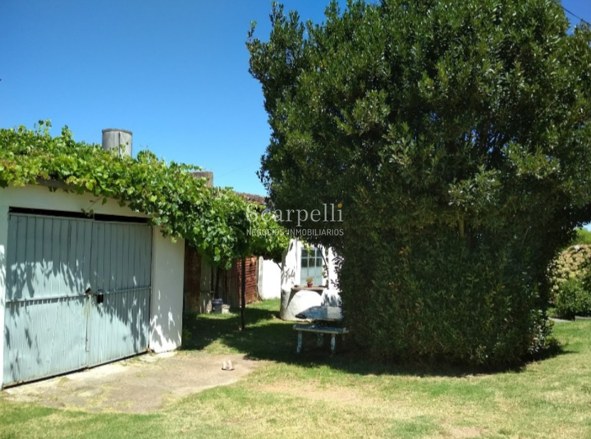 Chacra ID.37768 - VENTA CHACRA MELILLA PRÓXIMO RUTA 5 INSERTA EN PLENO CIRCUITO DE BODEGAS Y CHACRAS TRADICIONALES  EN LA ZONA