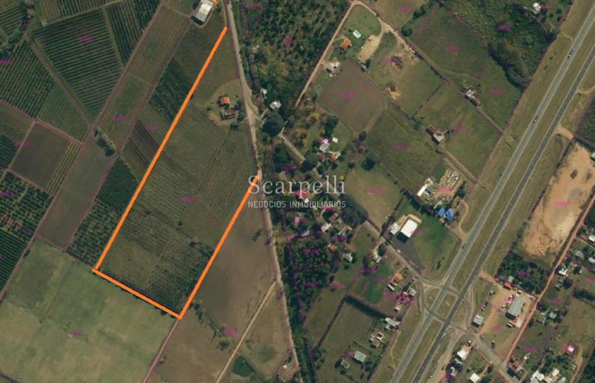 Chacra ID.37768 - VENTA CHACRA MELILLA PRÓXIMO RUTA 5 INSERTA EN PLENO CIRCUITO DE BODEGAS Y CHACRAS TRADICIONALES  EN LA ZONA