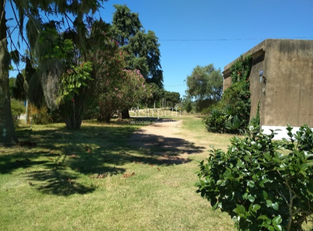 Chacra ID.37768 - VENTA CHACRA MELILLA PRÓXIMO RUTA 5 INSERTA EN PLENO CIRCUITO DE BODEGAS Y CHACRAS TRADICIONALES  EN LA ZONA